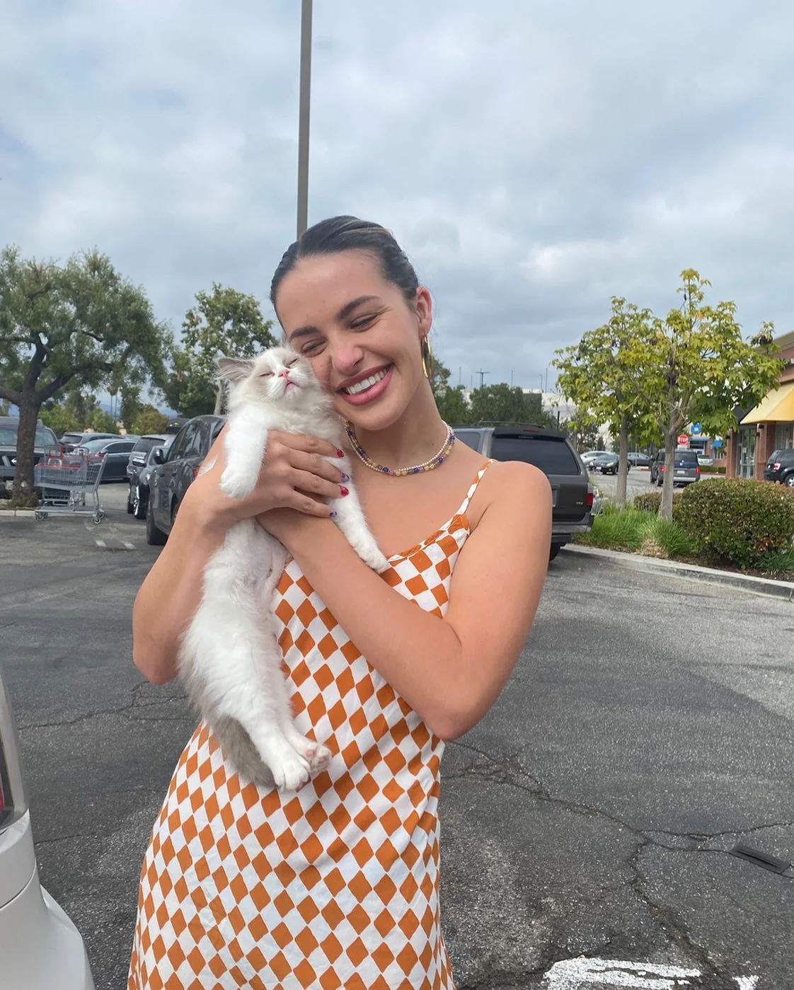 A family member holding a Ragdoll kitten outdoors