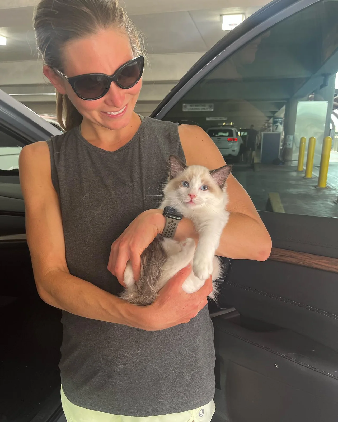 A family member cuddling their Ragdoll kitten