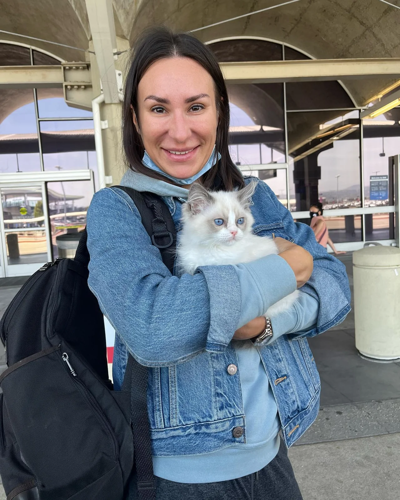 A family member holding their Ragdoll kitten while traveling